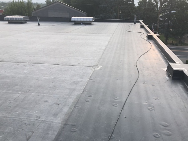 TPO Roofing Systems | Lakewood, CO